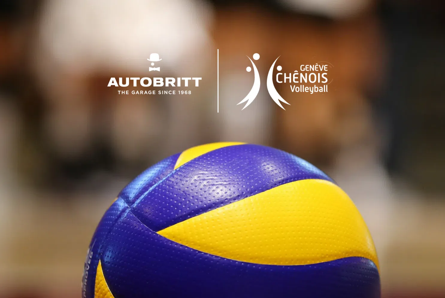 Avantages abonnés du Chênois Volley Ball