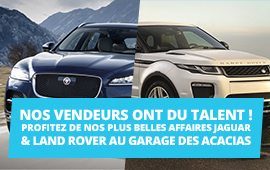 Nos vendeurs Acacias ont du talent !